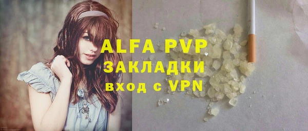стаф Алзамай
